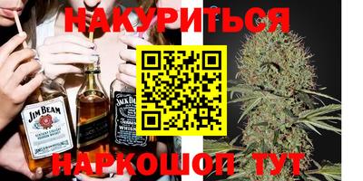 гашик Краснознаменск