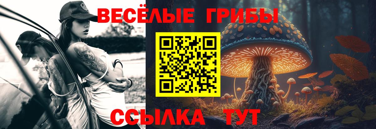 Галлюциногенные грибы мицелий Бирск